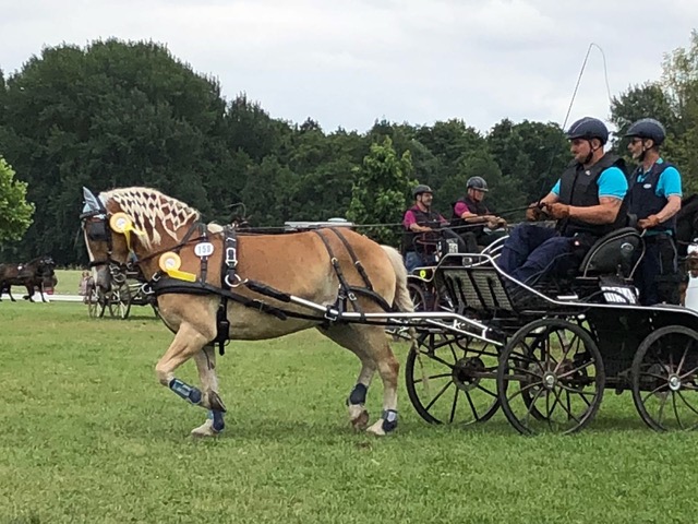 Fahrsportfreunde bei den Rheinischen Meisterschaften