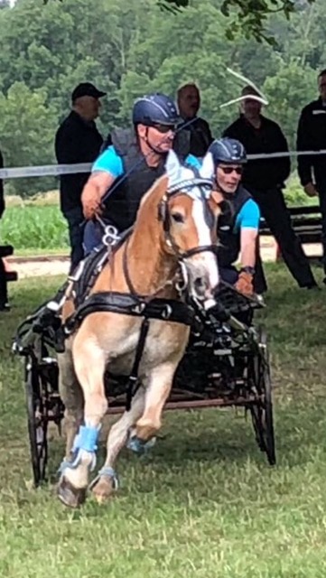 Fahrsportfreunde bei den Rheinischen Meisterschaften