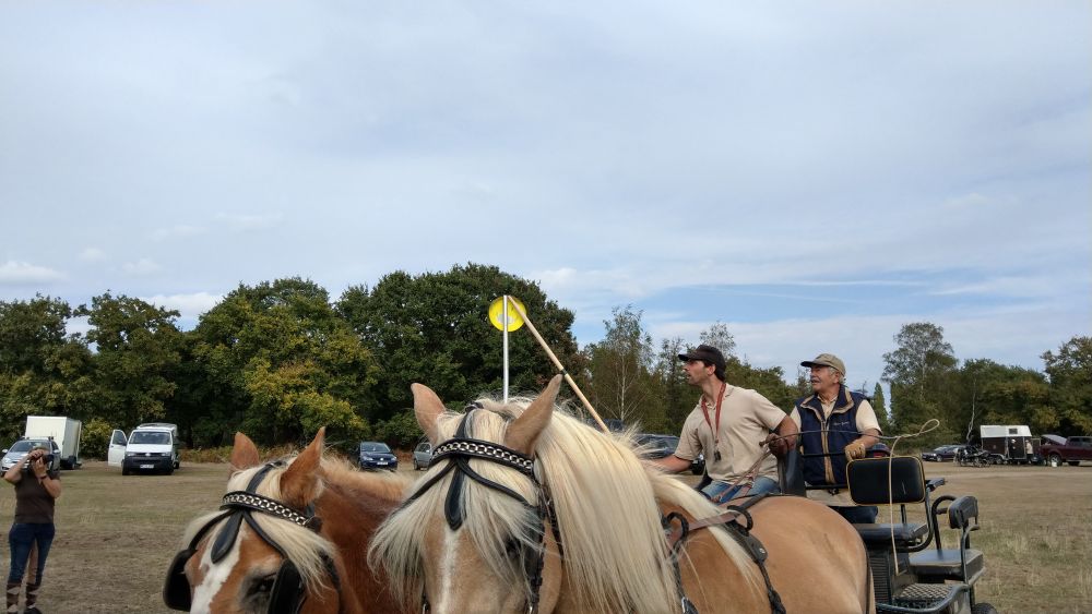 Bildansicht