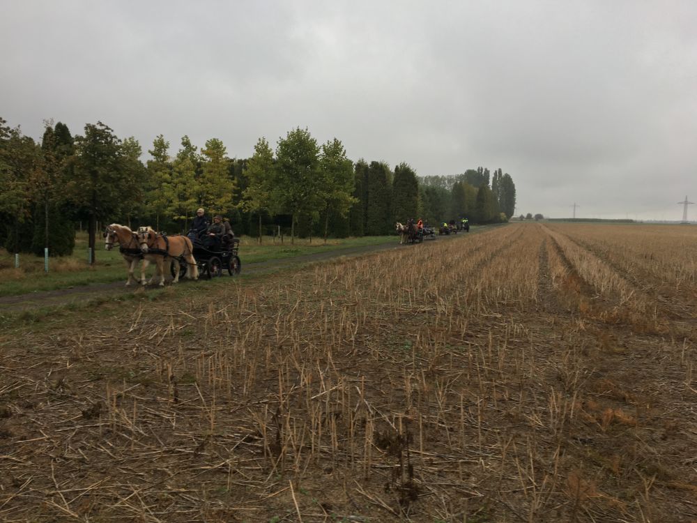 Bildansicht