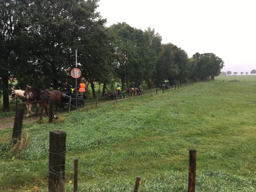 Bildansicht