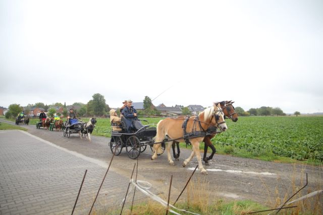 Ausfahrt der Fahrsportfreunde