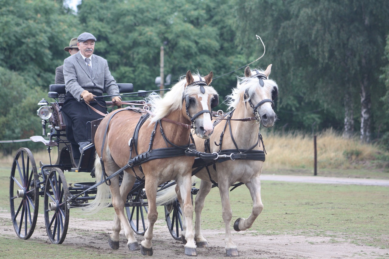 Kreismeisterschaft der Fahrer 2019