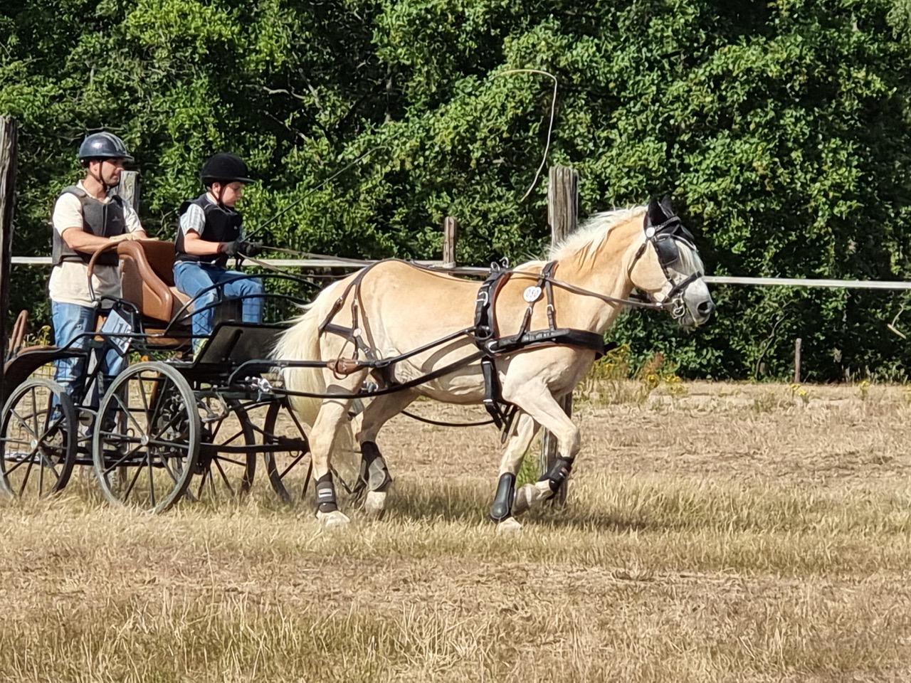 Bildansicht