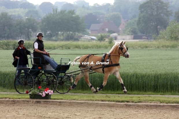Bildansicht
